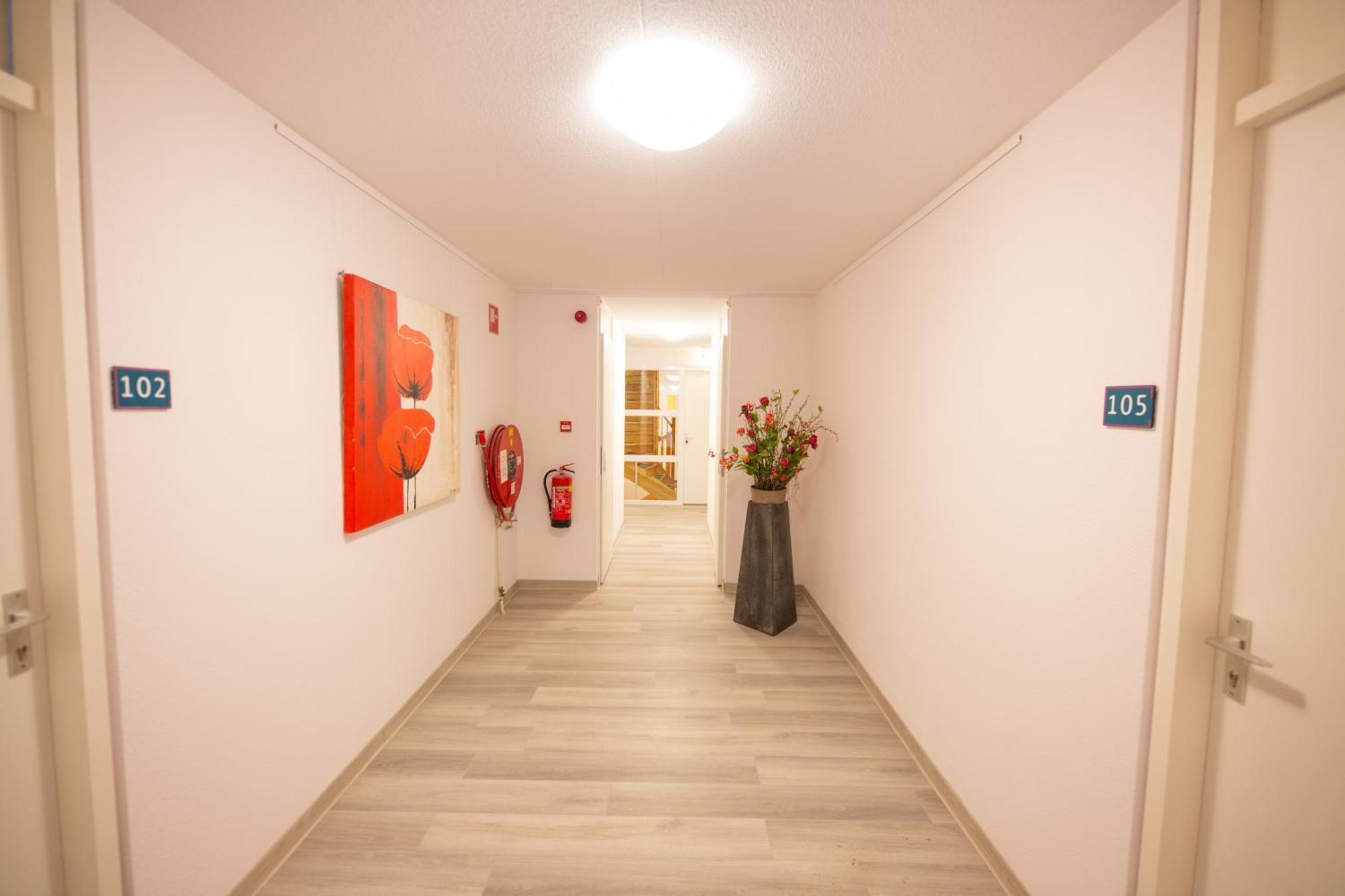Vakantiepark Bonte Vlucht 多尔恩 外观 照片